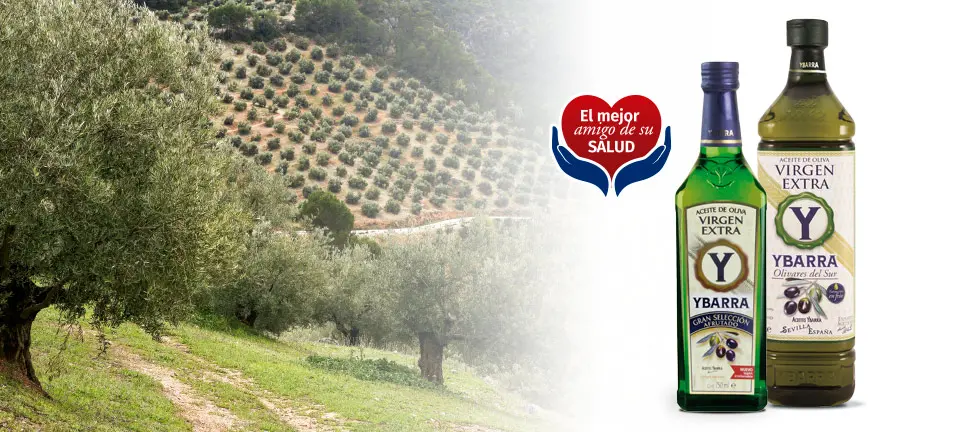 salud aceite oliva ybarra